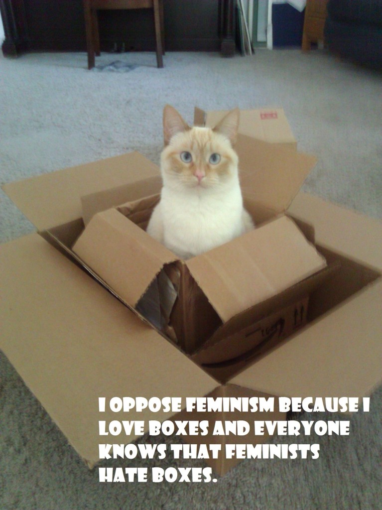 Feminists hate boxes. Cats love them.